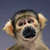 ShinuSunaipa :iconshinusunaipa: