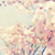 :iconshinylottus:
