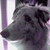:iconshinylucario448: