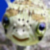:iconshinymyu: