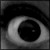:iconshinz0: