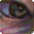 :iconshioneh: