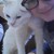 ShippingGoddess :iconshippinggoddess: