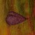 :iconshipposfoxfire: