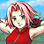 :iconshippuden-sakura: