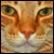 :iconShipwreckedStamps: