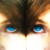 :iconshirablank: