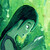 Shirahakun :iconshirahakun: