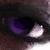 :iconshiramorrison: