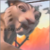 :iconshiraofficial: