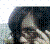 :iconshirayuri-no-namida: