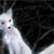 :iconshiroikitsune-san: