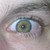 :iconshirone: