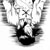 :iconshirotuskino: