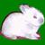 :iconshirousa: