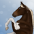 :iconshirtn: