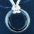 :iconshiruba-hai-koneko: