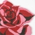 :iconshiryohime: