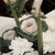 :iconshishi-za: