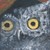 :iconshishimora: