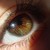 :iconshiva-wolf:
