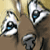 :iconShivarou: