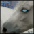 :iconshiver-xx: