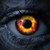 :iconshivered-wolf: