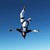 :iconshivinski7: