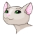 :iconshizari: