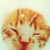 :iconshizu-tan: