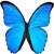:iconshizuka43: