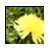:iconshleythetree: