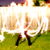:iconshliebee: