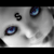 :iconshmegma: