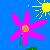 :iconshmo-shmo96: