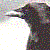 :iconshmuk2k2: