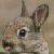 :iconshnurui: