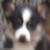 :iconsho-heika: