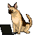 :iconshock-dragon: