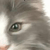 :iconshockme-shockme: