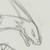 shockzekrom :iconshockzekrom: