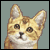 :iconshoe-is-matts-cat: