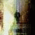 :iconshogunz: