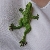 :iconshona-gruenauge: