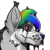 :iconshona03: