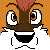 :iconShoo-Cat: