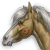 :iconshoop-dawhoop: