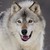 :iconshootingstarlycan: