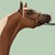 :iconshootingstarsr: